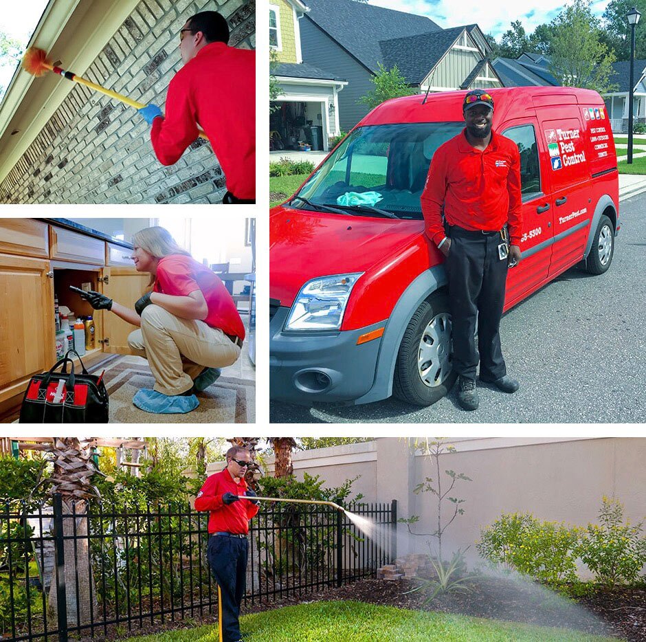 residential pest control services